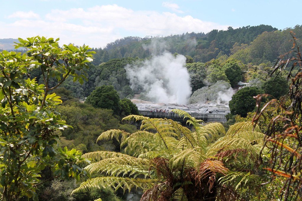 20140228001108_IMG_9511